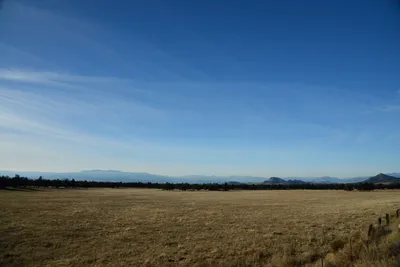 DSC_2997 (Large).JPG